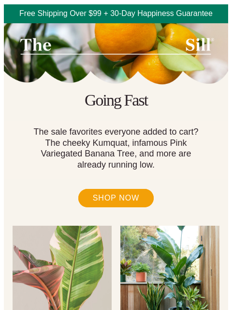 thesill newsletter: Running low on some of the good stuff