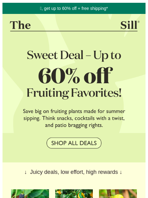 Up to 60% off fast-growing edibles you can plant now! ͏ ͏ ͏ ͏ ͏ ͏ ͏ ͏ ͏ ͏ ͏ ͏ ͏ ͏ ͏ ͏ ͏ ͏ ͏ ͏ ͏ ͏ ͏ ͏ ͏ ͏ ͏ ͏ ͏ ͏ ͏ ͏ ͏ ͏ ͏ ͏ ͏ ͏ ͏ ͏ ͏ ͏ ͏ ͏ ͏ ͏ ͏ ͏ ͏ ͏ ͏ ͏ ͏ ͏ ͏ ͏ ͏ ͏ ͏ ͏ ͏ ͏ ͏ ͏ ͏ ͏ ͏ ͏ ͏ ͏ ͏ ͏ ͏ ͏
