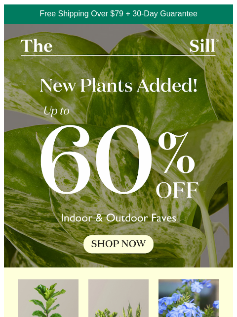 Shop up to 60% off! ͏ ͏ ͏ ͏ ͏ ͏ ͏ ͏ ͏ ͏ ͏ ͏ ͏ ͏ ͏ ͏ ͏ ͏ ͏ ͏ ͏ ͏ ͏ ͏ ͏ ͏ ͏ ͏ ͏ ͏ ͏ ͏ ͏ ͏ ͏ ͏ ͏ ͏ ͏ ͏ ͏ ͏ ͏ ͏ ͏ ͏ ͏ ͏ ͏ ͏ ͏ ͏ ͏ ͏ ͏ ͏ ͏ ͏ ͏ ͏ ͏ ͏ ͏ ͏ ͏ ͏ ͏ ͏ ͏ ͏ ͏ ͏ ͏ ͏ ͏ ͏ ͏ ͏ ͏ ͏ ͏ ͏ ͏ ͏ ͏ ͏ ͏ ͏ ͏ ͏ ͏