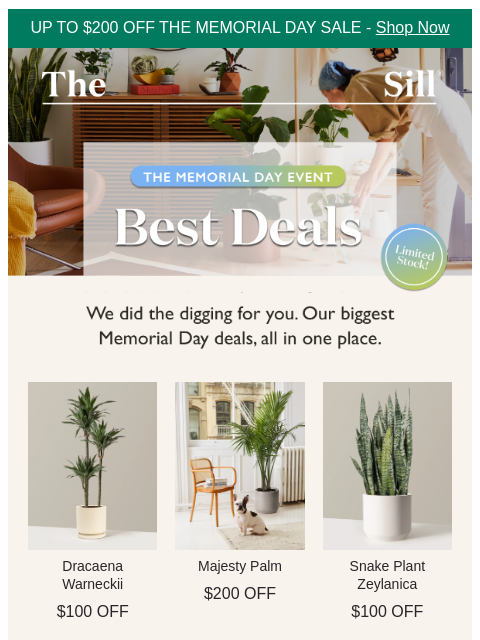 thesill newsletter: Best sale discounts? Right this way...