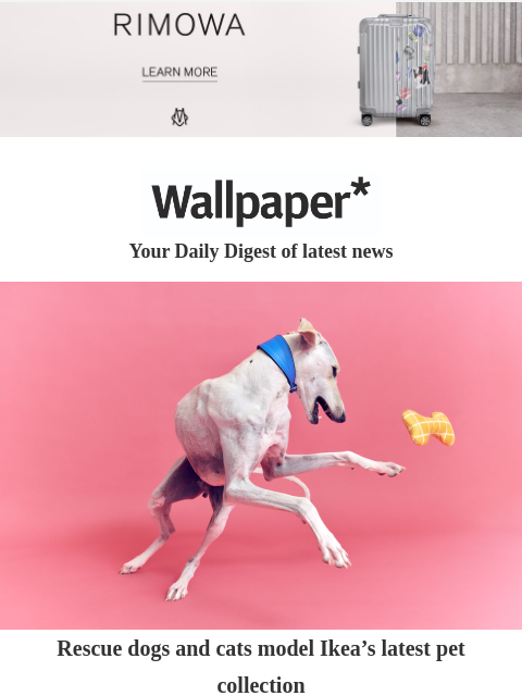 Rescue dogs model Ikea pet accessories, Elton John's photography collection, and a RIBA-noted Crystal Palace home ‌ ‌ ‌ ‌ ‌ ‌ ‌ ‌ ‌ ‌ ‌ ‌ ‌ Wallpaper* Your Daily Digest of latest news Rescue dogs