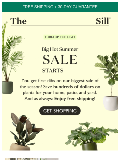 🎶 Summer's here, and the time is right ... to stock up on new plants! ͏ ͏ ͏ ͏ ͏ ͏ ͏ ͏ ͏ ͏ ͏ ͏ ͏ ͏ ͏ ͏ ͏ ͏ ͏ ͏ ͏ ͏ ͏ ͏ ͏ ͏ ͏ ͏ ͏ ͏ ͏ ͏ ͏ ͏ ͏ ͏ ͏ ͏ ͏ ͏ ͏ ͏ ͏ ͏ ͏ ͏ ͏ ͏ ͏ ͏ ͏ ͏ ͏ ͏ ͏ ͏ ͏ ͏ ͏ ͏ ͏ ͏ ͏ ͏