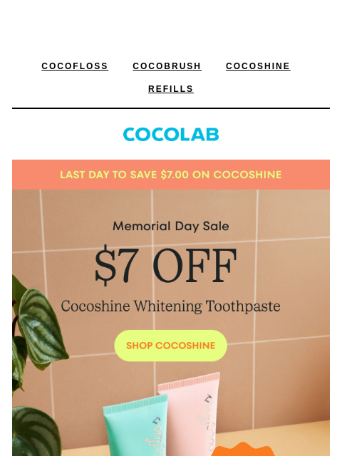 cocolab newsletter: LAST DAY to sale away 🛒