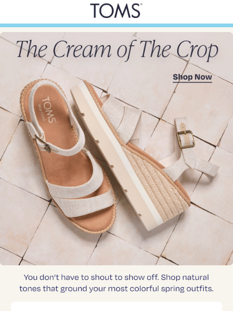 toms newsletter: Shift Into Neutrals