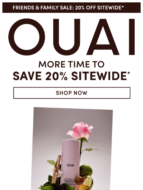 theouai newsletter: ONE DAY ONLY: More time to save 20%