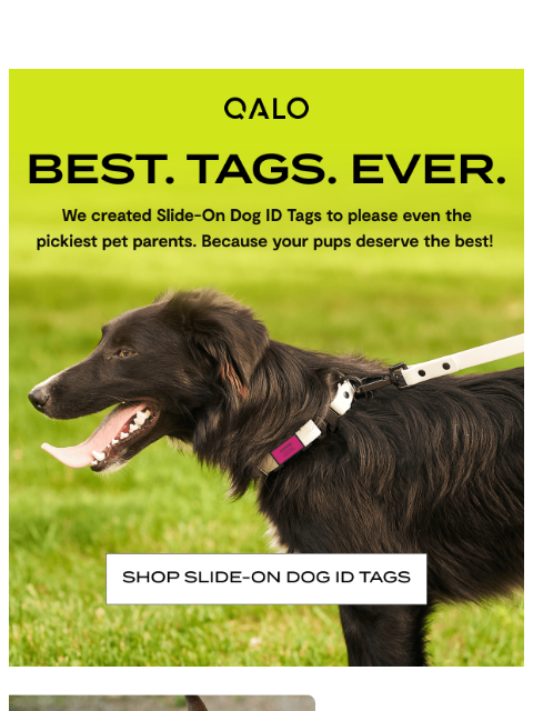 The ultimate Dog ID Tag has arrived → ͏ ͏ ͏ ͏ ͏ ͏ ͏ ͏ ͏ ͏ ͏ ͏ ͏ ͏ ͏ ͏ ͏ ͏ ͏ ͏ ͏ ͏ ͏ ͏ ͏ ͏ ͏ ͏ ͏ ͏ ͏ ͏ ͏ ͏ ͏ ͏ ͏ ͏ ͏ ͏ ͏ ͏ ͏ ͏ ͏ ͏ ͏ ͏ ͏ ͏ ͏ ͏ ͏ ͏ ͏ ͏ ͏ ͏ ͏ ͏ ͏ ͏ ͏ ͏ ͏ ͏ ͏ ͏ ͏ ͏ ͏ ͏ ͏ ͏ ͏ ͏ ͏ ͏ ͏ ͏ ͏ ͏