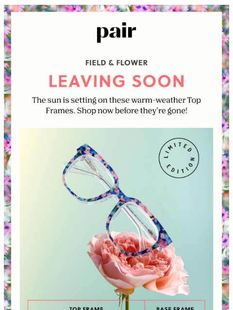 paireyewear newsletter: Leaving Soon: Field & Flower 🧺