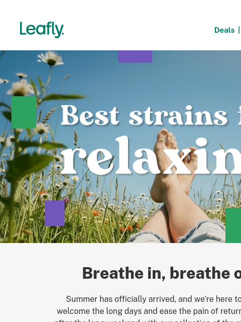 leafly newsletter: The most relaxing weed strains 😌