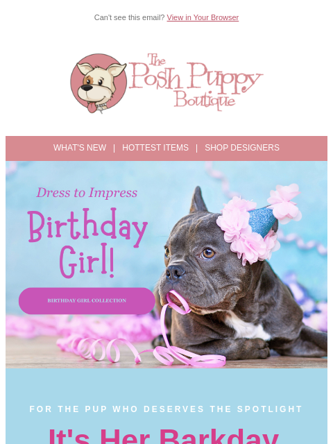 poshpuppyboutique newsletter: 🎂 It's Her Day — Shop the Birthday Girl Collectio...
