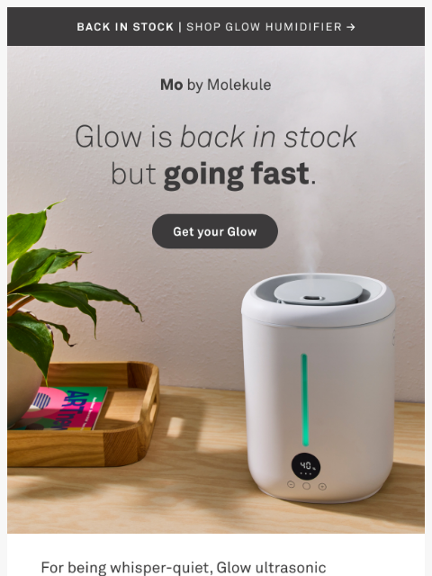 molekule newsletter: Restocked and Ready for Summer Air ☀️🌴