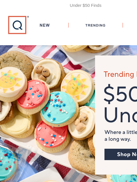 qvcemail newsletter: Big Trends in Budget