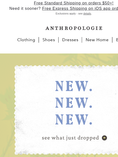 anthropologie newsletter: Keyword is NEW