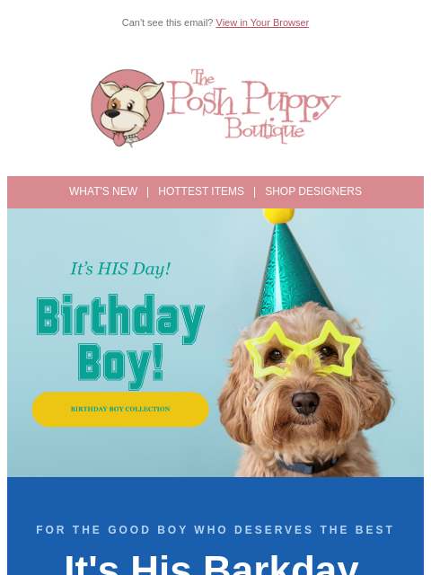 poshpuppyboutique newsletter: 🎉 It's His Day — Shop the Birthday Boy Collection