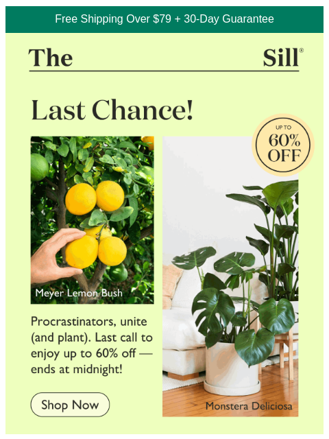 Hot plants, cooler prices ͏ ͏ ͏ ͏ ͏ ͏ ͏ ͏ ͏ ͏ ͏ ͏ ͏ ͏ ͏ ͏ ͏ ͏ ͏ ͏ ͏ ͏ ͏ ͏ ͏ ͏ ͏ ͏ ͏ ͏ ͏ ͏ ͏ ͏ ͏ ͏ ͏ ͏ ͏ ͏ ͏ ͏ ͏ ͏ ͏ ͏ ͏ ͏ ͏ ͏ ͏ ͏ ͏ ͏ ͏ ͏ ͏ ͏ ͏ ͏ ͏ ͏ ͏ ͏ ͏ ͏ ͏ ͏ ͏ ͏ ͏ ͏ ͏ ͏ ͏ ͏ ͏ ͏ ͏ ͏ ͏ ͏ ͏ ͏ ͏ ͏ ͏ ͏