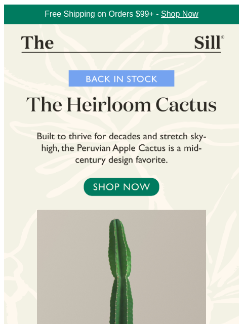 thesill newsletter: Our Fave 🌵 Is Back