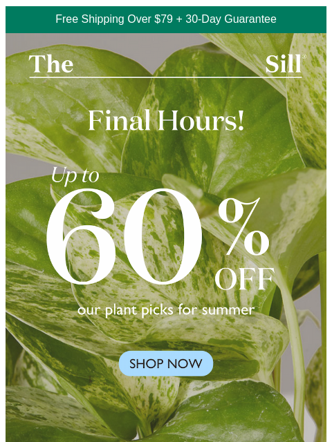 👋 60% off our summer plant picks ends tonight ͏ ͏ ͏ ͏ ͏ ͏ ͏ ͏ ͏ ͏ ͏ ͏ ͏ ͏ ͏ ͏ ͏ ͏ ͏ ͏ ͏ ͏ ͏ ͏ ͏ ͏ ͏ ͏ ͏ ͏ ͏ ͏ ͏ ͏ ͏ ͏ ͏ ͏ ͏ ͏ ͏ ͏ ͏ ͏ ͏ ͏ ͏ ͏ ͏ ͏ ͏ ͏ ͏ ͏ ͏ ͏ ͏ ͏ ͏ ͏ ͏ ͏ ͏ ͏ ͏ ͏ ͏ ͏ ͏ ͏ ͏ ͏ ͏ ͏ ͏ ͏ ͏ ͏