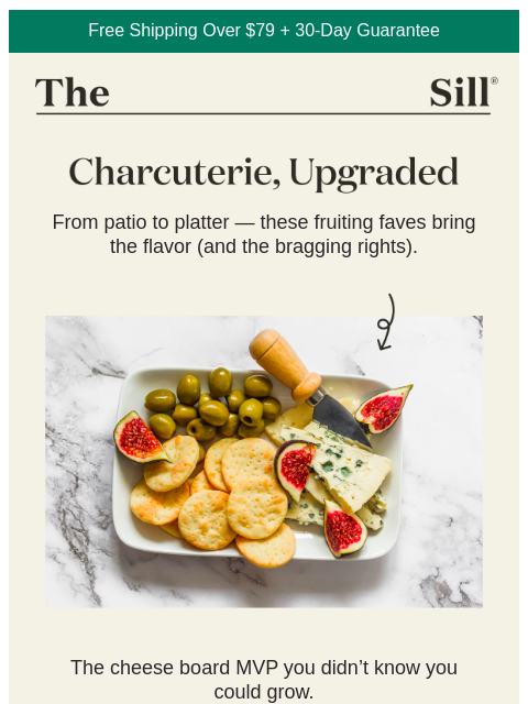 Plant now, snack all summer. ͏ ͏ ͏ ͏ ͏ ͏ ͏ ͏ ͏ ͏ ͏ ͏ ͏ ͏ ͏ ͏ ͏ ͏ ͏ ͏ ͏ ͏ ͏ ͏ ͏ ͏ ͏ ͏ ͏ ͏ ͏ ͏ ͏ ͏ ͏ ͏ ͏ ͏ ͏ ͏ ͏ ͏ ͏ ͏ ͏ ͏ ͏ ͏ ͏ ͏ ͏ ͏ ͏ ͏ ͏ ͏ ͏ ͏ ͏ ͏ ͏ ͏ ͏ ͏ ͏ ͏ ͏ ͏ ͏ ͏ ͏ ͏ ͏ ͏ ͏ ͏ ͏ ͏ ͏ ͏ ͏ ͏ ͏ ͏ ͏ ͏
