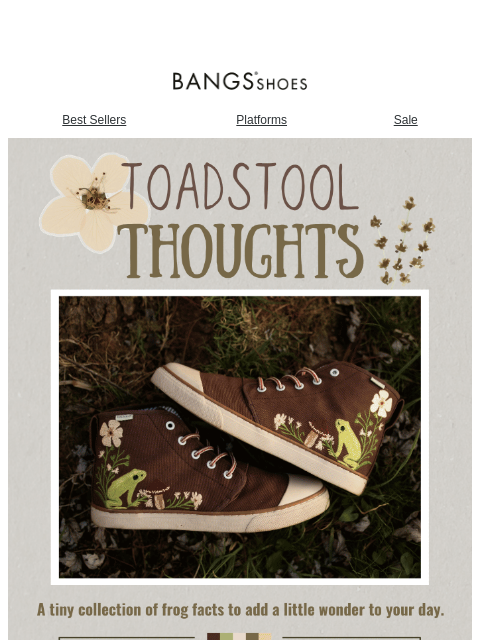 bangsshoes newsletter: Toadstool Thoughts 🍄☁️🐸