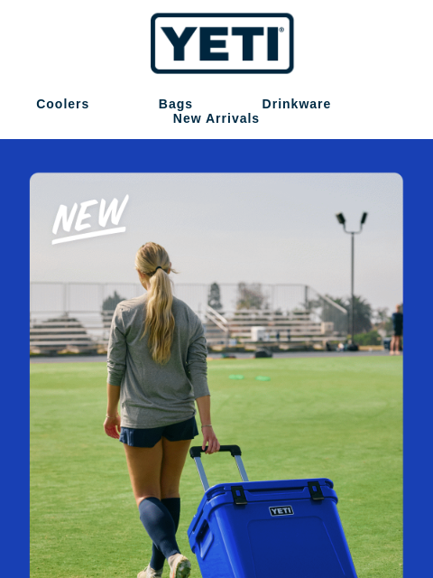 yeti newsletter: Royal Blue’s Roster Is Expanding