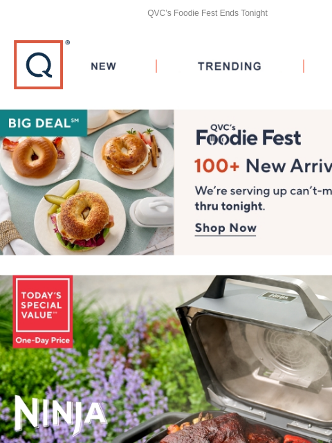 QVC's Foodie Fest Ends Tonight QVC New TRENDING DEALS 5 easy pays Foodie Fest Foodie Fest Foodie Fest Foodie Fest temptations WEN Carla Hall Picked for You Alegria Mesh Lace-Up Sneakers - Roll On 2