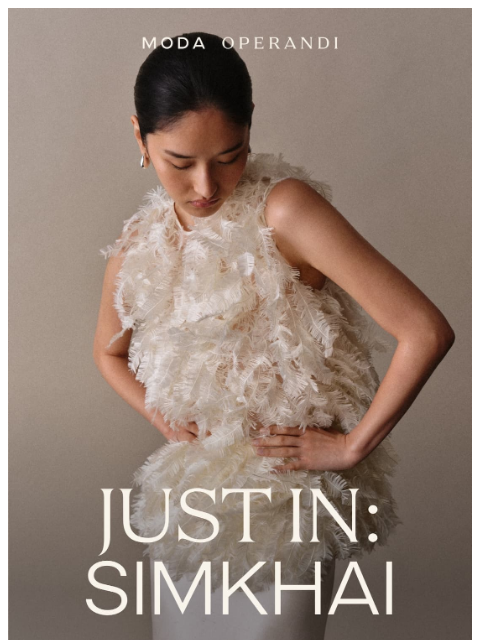 modaoperandi newsletter: Stand out in SIMKHAI