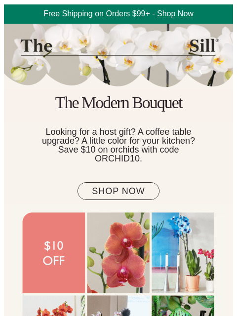 thesill newsletter: ORCHID SALEEEEE!