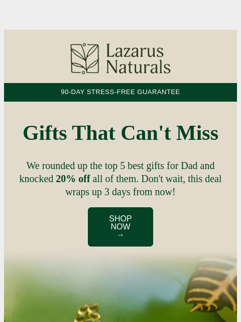 lazarusnaturals newsletter: 🔧 Top 5 Father’s Day Gifts @ 20% Off