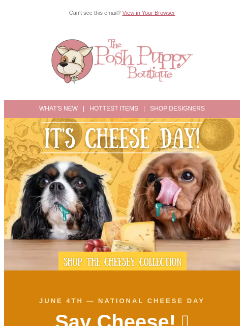poshpuppyboutique newsletter: 🧀 Happy National Cheese Day! Your Pup Wants In.