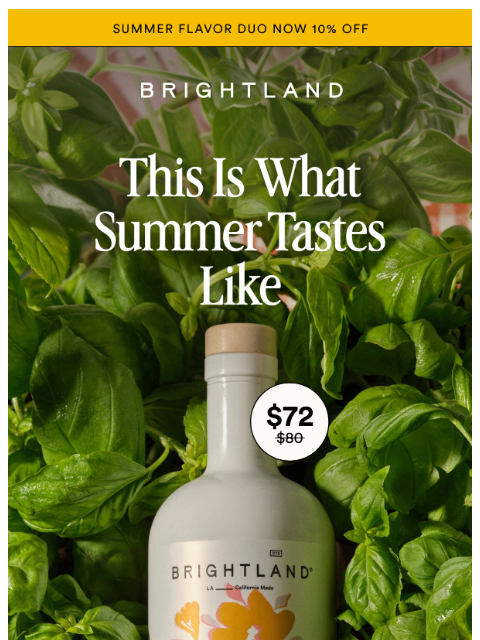 brightland newsletter: Summer Duo Arrived and…