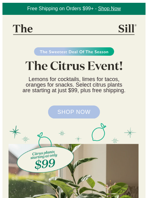 thesill newsletter: Citrus Trees Start at $99 + Ship Free