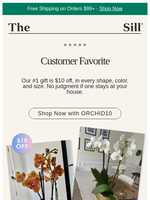 thesill newsletter: 30+ five-star reviews 🌟