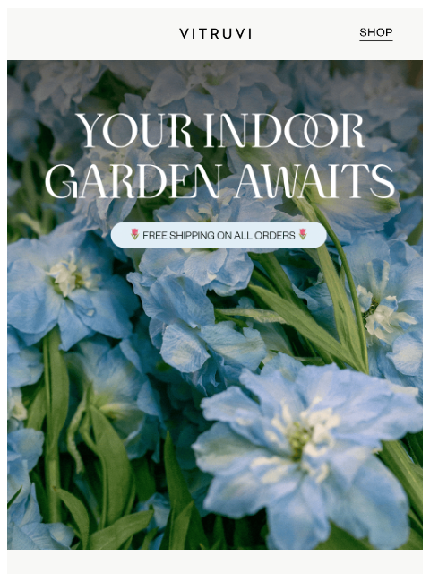 vitruvi newsletter: Free Shipping Sitewide: Bring Home Floral Favorite...