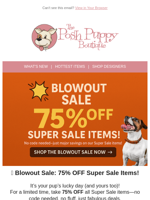 poshpuppyboutique newsletter: 🛍 Blowout Sale: 75% Off Starts NOW!