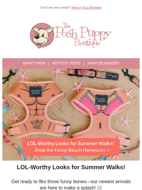 poshpuppyboutique newsletter: 🏖️ New Beach Looks Just Dropped… and They’re Hila...