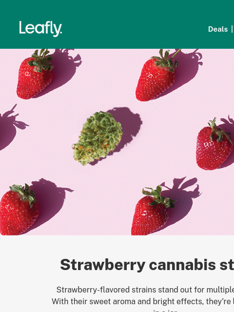 Plus, what will your garden grow? Check out these easy-to-grow cannabis seeds‌ ‌ ‌ ‌ ‌ ‌ ‌ ‌ ‌ ‌ ‌ ‌ ‌ ‌ ‌ ‌ ‌ ‌ ‌ ‌ ‌ ‌ ‌ ‌ ‌ ‌ ‌ ‌ ‌ ‌ ‌ ‌ ‌ ‌ ‌ ‌ ‌ ‌ ‌ ‌ ‌ ‌ ‌ ‌ ‌ ‌ ‌ ‌ ‌ ‌ ‌ ‌ ‌ ‌ ‌ ‌ ‌ ‌ ‌ ‌ ‌ ‌