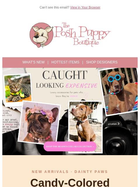 poshpuppyboutique newsletter: Sweet. Handcrafted. Just Dropped. ✨
