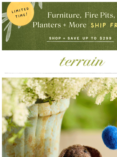 shopterrain newsletter: 100+ star-spangled party decor 🎆