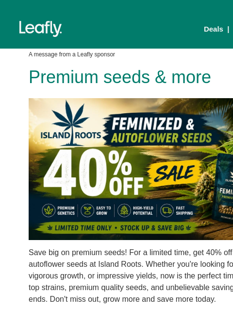 leafly newsletter: 40% off fem & auto seeds 🌱