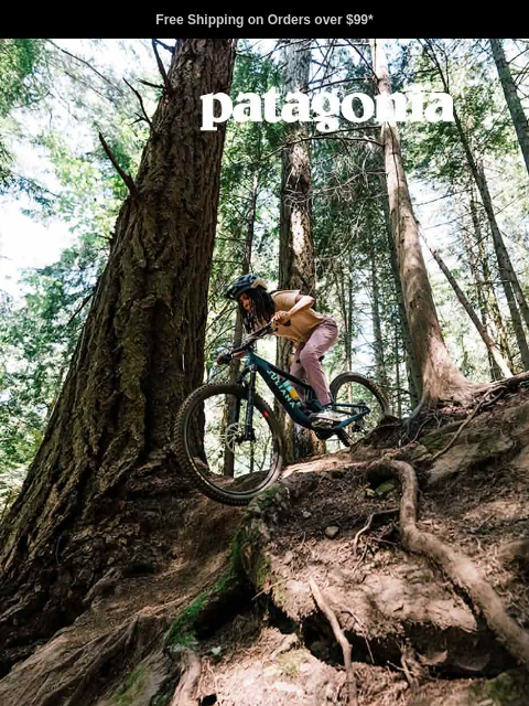 patagonia newsletter: Our ambassadors’ favorite gear