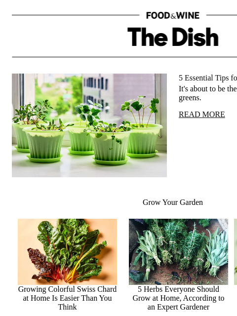 Plus, cilantro vs. coriander. ‌ ‌ ‌ ‌ ‌ ‌ ‌ ‌ ‌ ‌ ‌ ‌ ‌ ‌ ‌ ‌ ‌ ‌ ‌ ‌ ‌ ‌ ‌ ‌ ‌ ‌ ‌ ‌ ‌ ‌ ‌ ‌ ‌ ‌ ‌ ‌ ‌ ‌ ‌ ‌ ‌ ‌ ‌ ‌ ‌ ‌ ‌ ‌ ‌ ‌ ‌ ‌ ‌ ‌ ‌ ‌ ‌ ‌ ‌ ‌ ‌ ‌ ‌ ‌ ‌ ‌ ‌ ‌ ‌ ‌ ‌ ‌ ‌ ‌ ‌ ‌ ‌ ‌ ‌ ‌ ‌ ‌ ‌ ‌ ‌ ‌