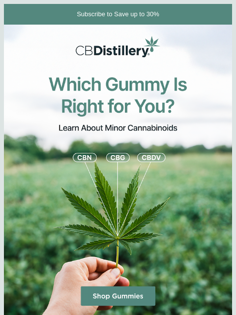 thecbdistillery newsletter: What about CBG, CBN, or CBDV gummies?