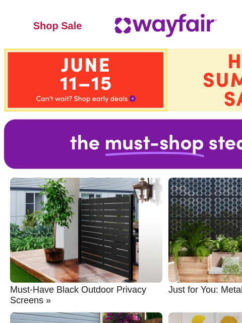 wayfair newsletter: BLACK OUTDOOR PRIVACY SCREENS 🔎 Find one that's a...