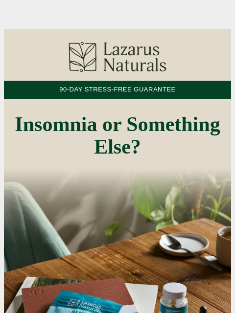 lazarusnaturals newsletter: 💤 Disrupted Rest? 6 Tips Inside❗