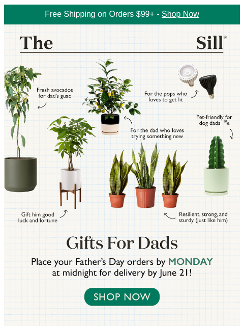 thesill newsletter: Cool Plants for Cool Dads