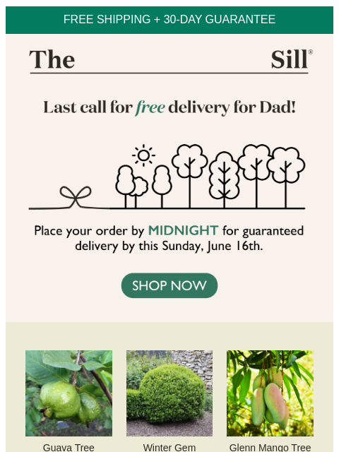 For Dad's dream yard 🌳 ͏ ͏ ͏ ͏ ͏ ͏ ͏ ͏ ͏ ͏ ͏ ͏ ͏ ͏ ͏ ͏ ͏ ͏ ͏ ͏ ͏ ͏ ͏ ͏ ͏ ͏ ͏ ͏ ͏ ͏ ͏ ͏ ͏ ͏ ͏ ͏ ͏ ͏ ͏ ͏ ͏ ͏ ͏ ͏ ͏ ͏ ͏ ͏ ͏ ͏ ͏ ͏ ͏ ͏ ͏ ͏ ͏ ͏ ͏ ͏ ͏ ͏ ͏ ͏ ͏ ͏ ͏ ͏ ͏ ͏ ͏ ͏ ͏ ͏ ͏ ͏ ͏ ͏ ͏ ͏ ͏ ͏ ͏ ͏ ͏ ͏ ͏