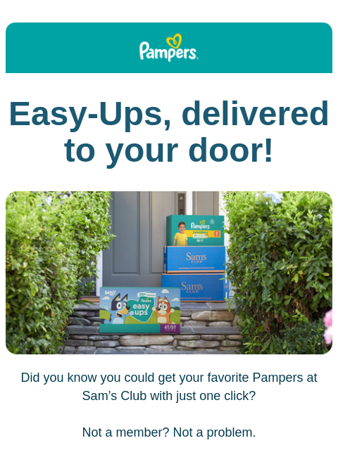 Start your membership today! Subscribers to Pampers emails receive helpful parenting tips, diapering advice, exclusive promotions, product news, and expert insights tailored to their baby's stage