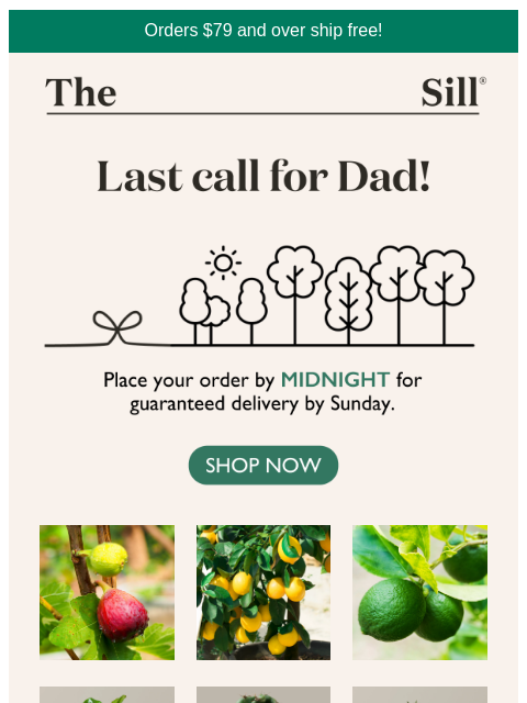 Last chance to order for Dad ͏ ͏ ͏ ͏ ͏ ͏ ͏ ͏ ͏ ͏ ͏ ͏ ͏ ͏ ͏ ͏ ͏ ͏ ͏ ͏ ͏ ͏ ͏ ͏ ͏ ͏ ͏ ͏ ͏ ͏ ͏ ͏ ͏ ͏ ͏ ͏ ͏ ͏ ͏ ͏ ͏ ͏ ͏ ͏ ͏ ͏ ͏ ͏ ͏ ͏ ͏ ͏ ͏ ͏ ͏ ͏ ͏ ͏ ͏ ͏ ͏ ͏ ͏ ͏ ͏ ͏ ͏ ͏ ͏ ͏ ͏ ͏ ͏ ͏ ͏ ͏ ͏ ͏ ͏ ͏ ͏ ͏ ͏ ͏ ͏ ͏