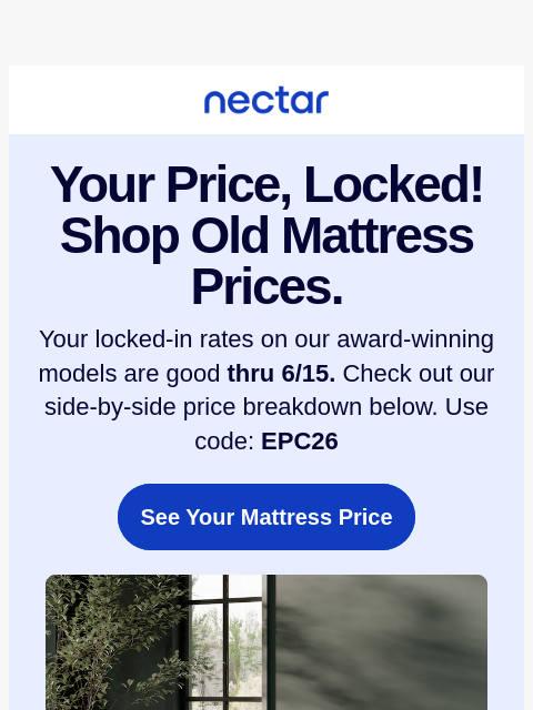 nectarsleep newsletter: This email is a time machine to old prices. ⏳