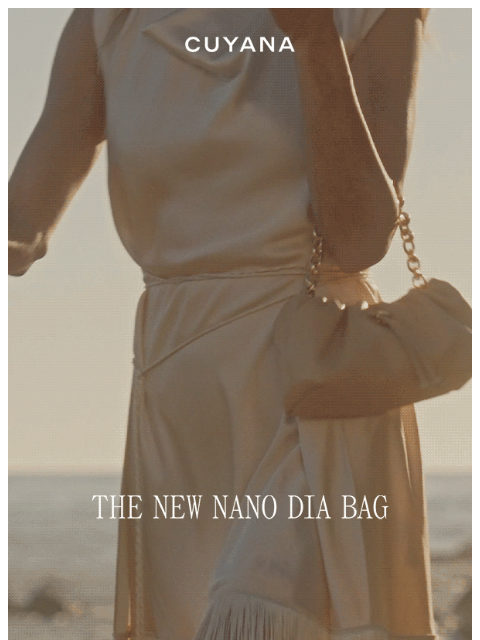 cuyana newsletter: The New Nano Dia Bag