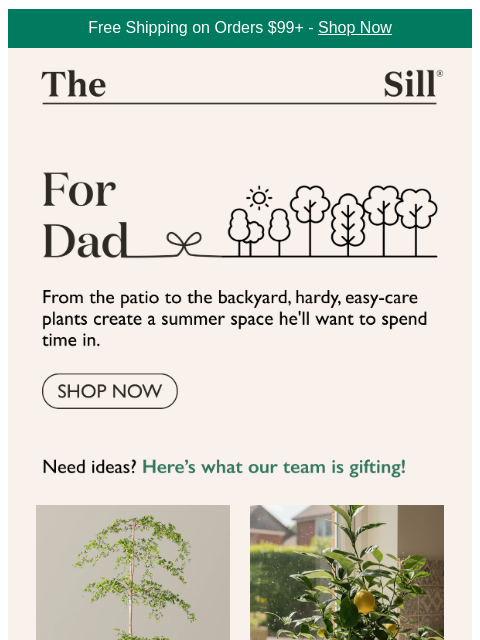 thesill newsletter: For Dad's Great British Bake Off Era 🫐🍋
